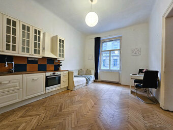 Pěkný byt 3+kk na Žižkově k pronájmu - 4