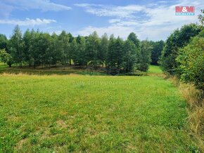 Prodej pozemku k bydlení, 4223 m², Dětmarovice - 4
