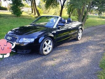 Kabriolet Audi A4 AVANT 8H - 4