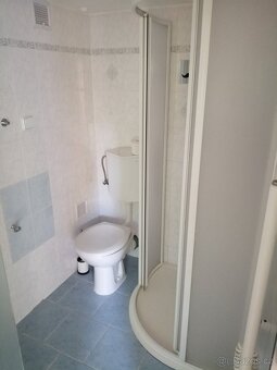 Pronájem 1+1, ulice Kronova, Řečkovice, 27 m2 - 4