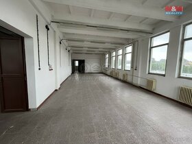 Pronájem výrobního objektu, 306 m², Stráž nad Nežárkou - 4