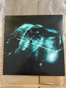 Podepsaný Vinyl- Viktor Sheen impostor syndrom - 4