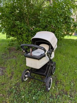 Buffalo Bugaboo - 4
