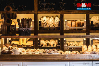 Pronájem obchodního objektu, 86 m², Třemošná, ul. Plzeňská - 4