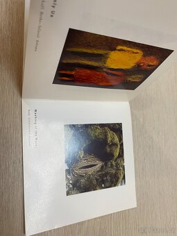 PETER GABRIEL: US, 1992, 1.Press. JEWEL CASE - 4