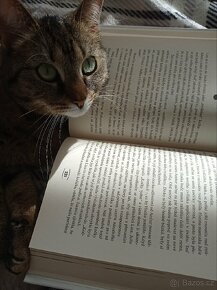 Kniha - Velká kočičí láska - 4