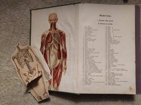 Zlatá kniha praktického lékařství domáccího - 4