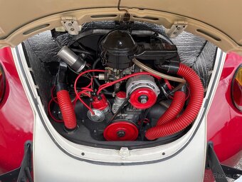 VW Brouk - 4