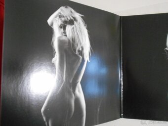 THE PRETTY RECKLESS - GOING TO HELL - PURPLE VINYL - LP - RO - 4