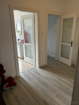 Pronájem bytu 2+1, 60 m2, Veselí nad Lužnicí - 4