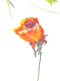 Bílé letní šaty s růžemi Viventy, v. S - 36/38 - 4