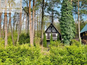 Prodej chaty v lese u rybníka, Svojšice - 4