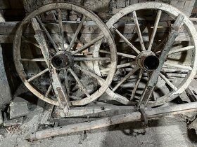 Žebřinák - 4