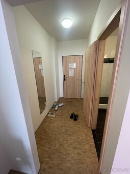 Apartman 1+kk Praha 5 - 4