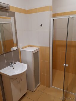 Světlý byt 1+kk, 44,5m2, v centru města - 4
