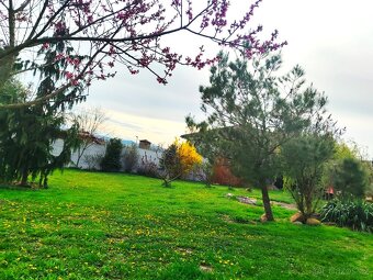 Stavební pozemek 800m2, Netolice okr. Beroun - 4