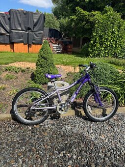 Dětské kolo Specialized Hotrock 20 - 4