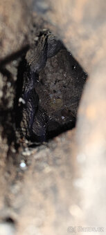 Kamna s litinovým výměníkem Solo 2011 3215 - 4