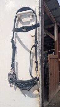 Hackamore uzdečka - 4