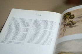 Technika kresby - Karel Teissig - 4