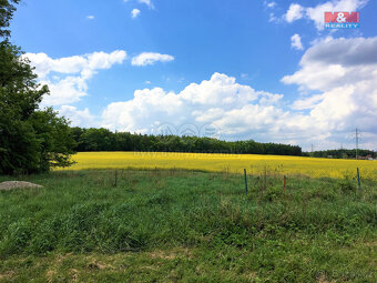 Prodej pole, 14579 m², Zruč-Senec - 4