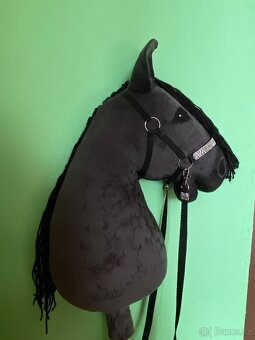 Hobby horse - 4