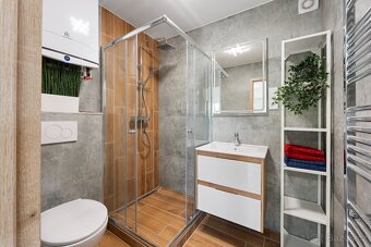 LUXUSNÍ ateliér Čebín 1+1 97m2( vč. zahrada, parking) - 4