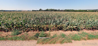 Pozemek v k.ú. Moravský Písek o výměře 320 m2 - 4