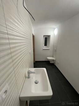 Pronájem - 4