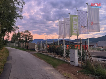 Pronájem skladu, 750 m², Těšovice - 4