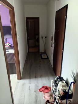 Prodej bytu 2+1 45.m2 Olomouc Nové Sady - 4