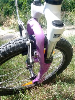 Kolo Specialized Hotrock 20 (1x6 převodů)
- 4