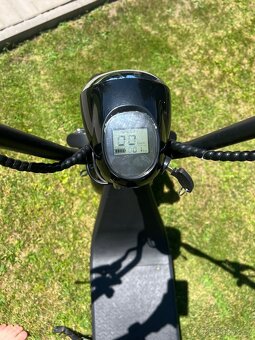 EcoWheel E-chopper - 4