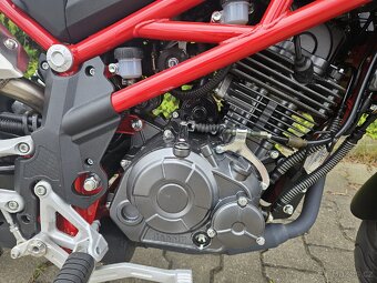 Benelli TNT 125 
 - 4