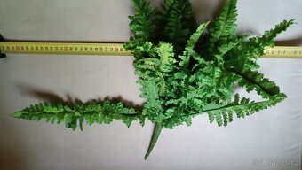 Umělé kapradí - 4