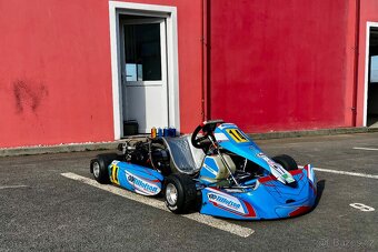 Motokára Tillotson T4 Senior - 4