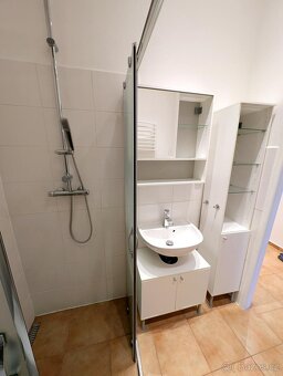 Pronájem bytu 1+kk - 4