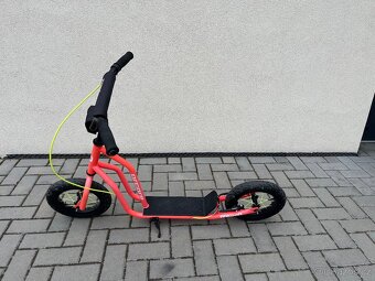 Koloběžka Arcore Rakoon - 4