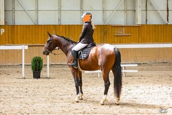 3letý hř. po HEARTVIT ZH / KANNAN,po výkonnostních zkouškách - 4