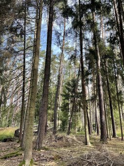 Prodám pozemky v k.ú. Drahov - 4