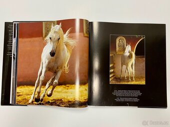 Koně Autor Gabrielle Boiselleová, Agnés Galletierová - 4