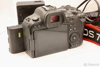 Canon R6 - 4