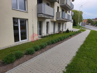 Pronájem bytu 1+kk 29 m2 ve Ždánicích, okr. Hodonín - 4