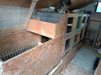 Prodám králíkárny - 4