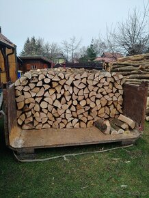 Prodej dřeva - 4