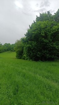 pozemek - 4