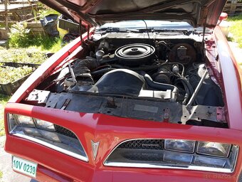 1978 Pontiac Firebird Esprit - 4