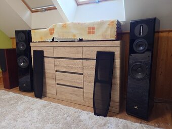 Aurum Cantus M-102HG - 4