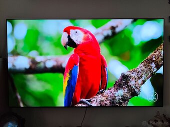 OLED LG Evo "65" (165cm) - 4