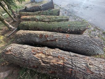 Dubová kulatina - 4